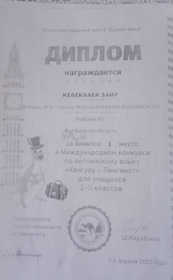 "Кенгуру-Лингвистика"